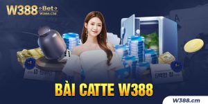 Bai-catte-W388