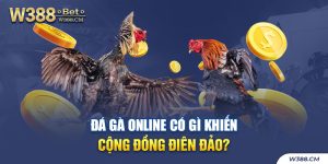Đá gà online có gì khiến cộng đồng điên đảo?