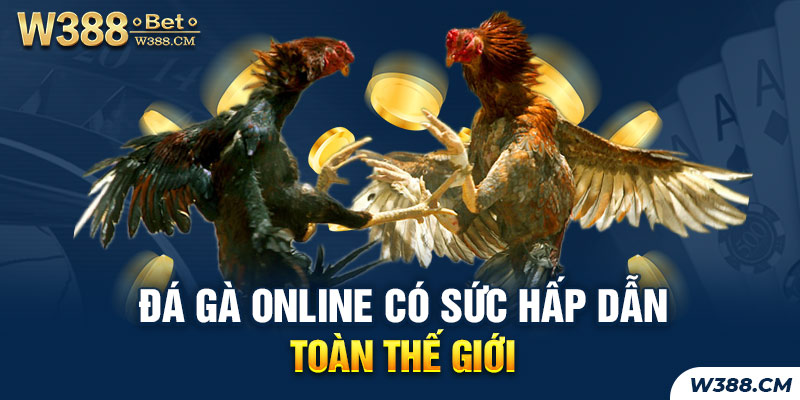 Đá gà online có sức hấp dẫn toàn thế giới